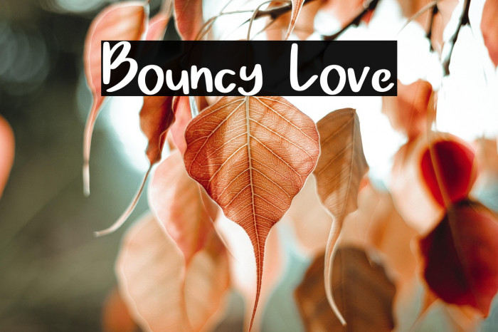 Bouncy Love Example 1