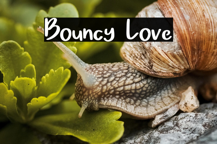 Bouncy Love Example 2