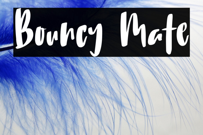 Bouncy Mate Font examples