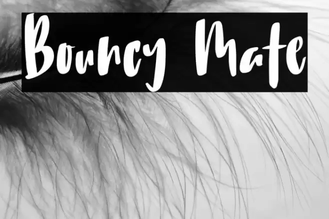 Bouncy Mate Шрифта examples