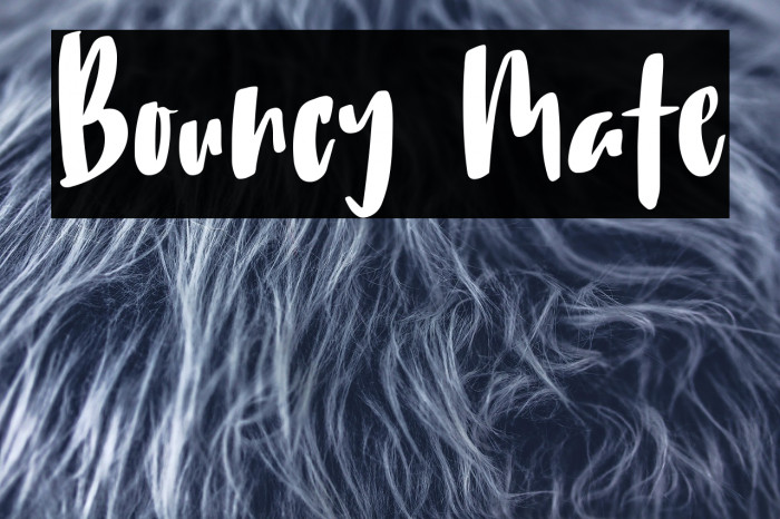 Bouncy Mate Font examples