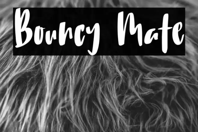 Bouncy Mate Шрифта examples
