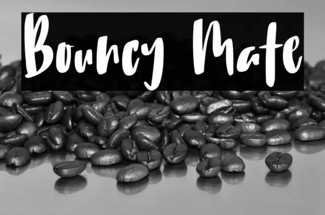 Bouncy Mate Шрифта examples