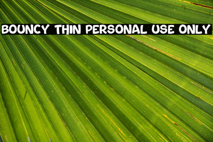 Bouncy Thin PERSONAL USE ONLY Example 2