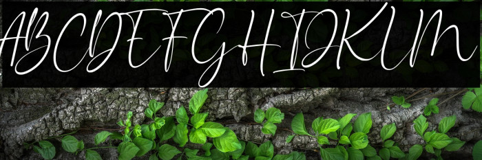 Bouncyland Example 1