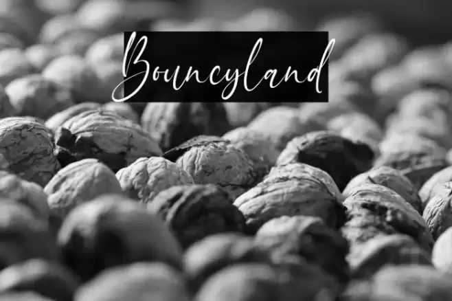 Bouncyland Font examples