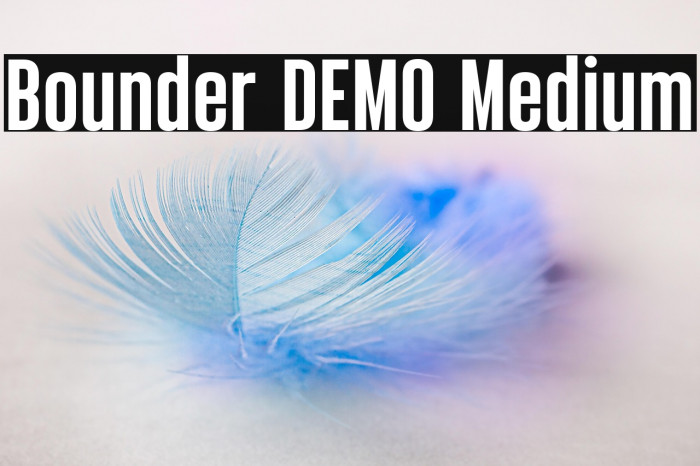 Bounder DEMO Medium Example 1