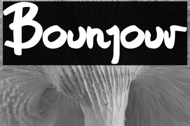 Bounjour Example 2