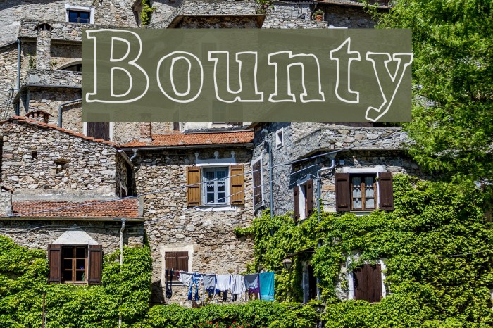 Bounty Fuentes examples