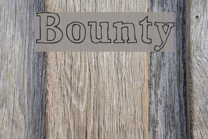Bounty Fuentes examples