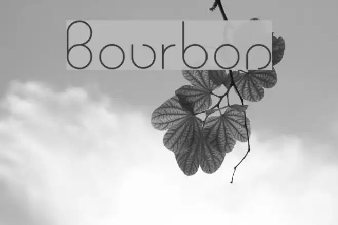 Bourbon Font examples