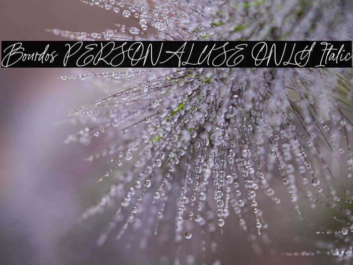 Bourdos PERSONAL USE ONLY Italic Example 1