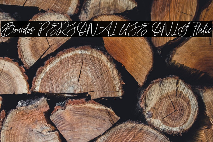 Bourdos PERSONAL USE ONLY Italic Example 2