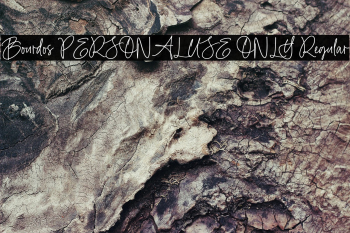 Bourdos PERSONAL USE ONLY Regular Example 2