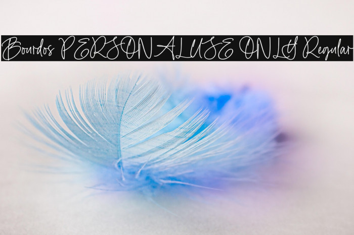 Bourdos PERSONAL USE ONLY Regular Example 3