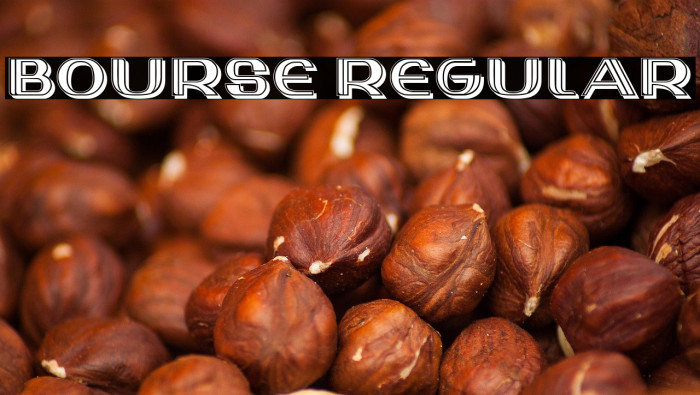 Bourse Regular Example 3