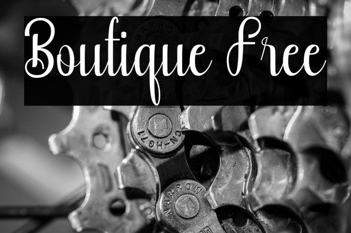 Boutique Free Example 1