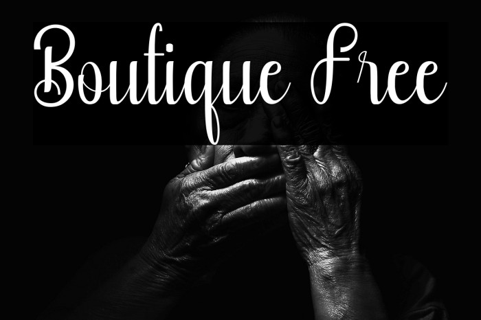 Boutique Free Example 3