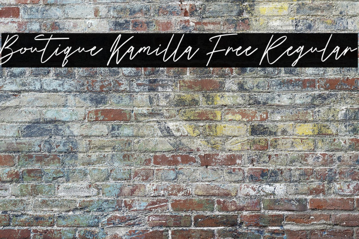 Boutique Kamilla Free Regular Example 3
