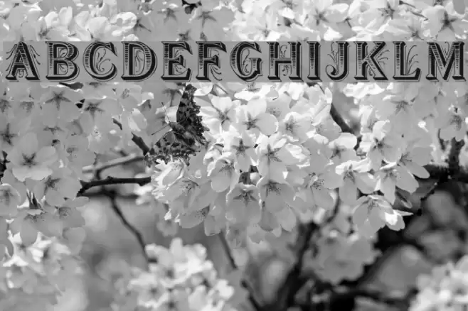 BoutiqueDisplayCaps Font examples