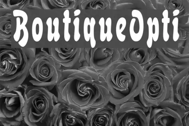 BoutiqueOpti Example 2