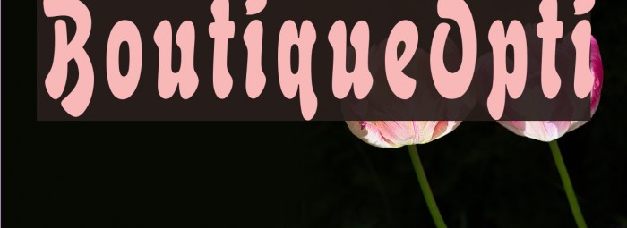 BoutiqueOpti Font examples