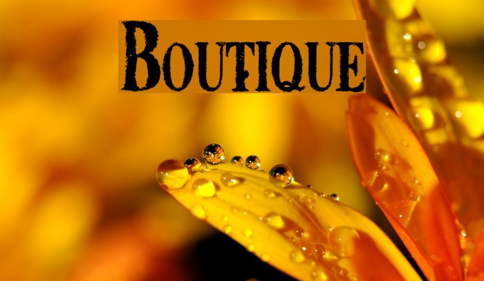 Boutique Font examples