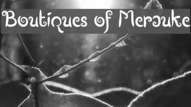 Boutiques of Merauke Font examples