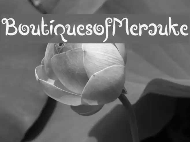 BoutiquesofMerauke Font examples