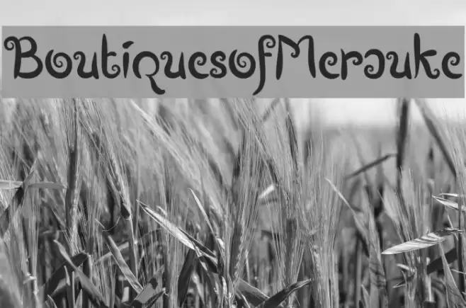 BoutiquesofMerauke Font examples