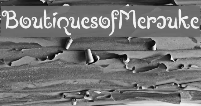 BoutiquesofMerauke Font examples