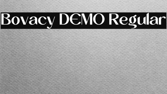 Bovacy DEMO Regular Example 1