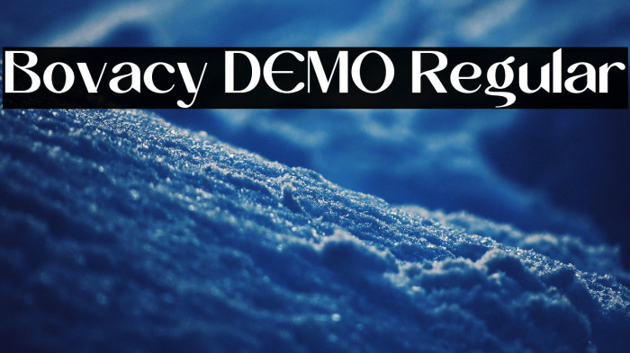 Bovacy DEMO Regular Example 2