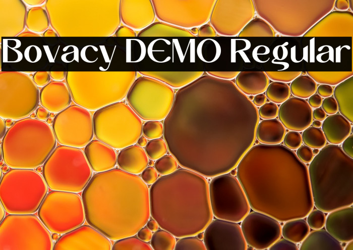 Bovacy DEMO Regular Example 3