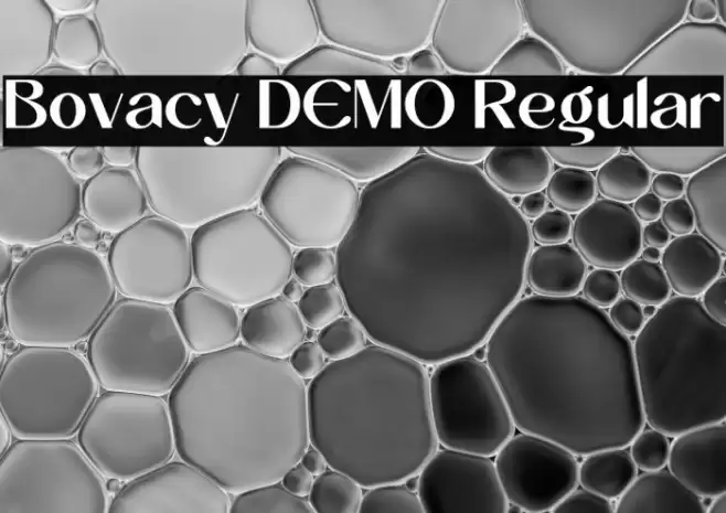 Bovacy DEMO Regular Schriftart examples