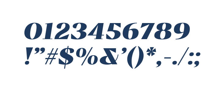 BovinoTrial-BlackItalic Other Characters