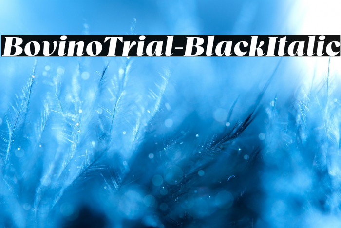 BovinoTrial-BlackItalic Example 1