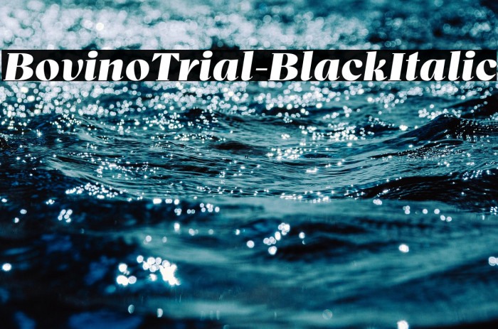 BovinoTrial-BlackItalic Example 2