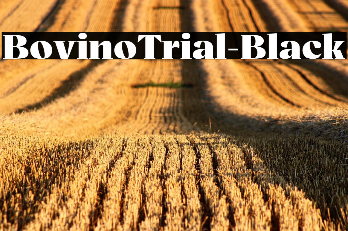 BovinoTrial-Black Example 1