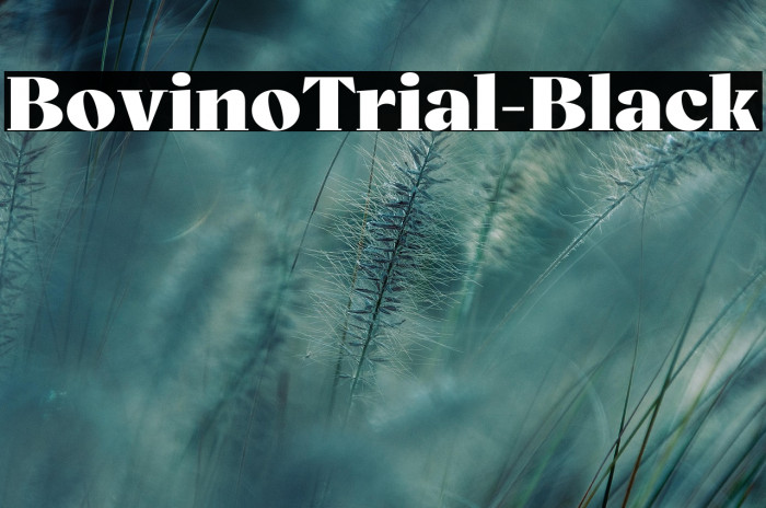 BovinoTrial-Black Example 2