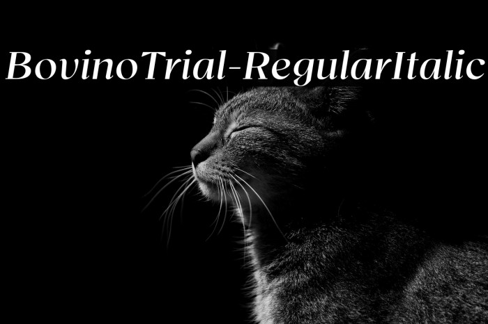 BovinoTrial-RegularItalic Example 1