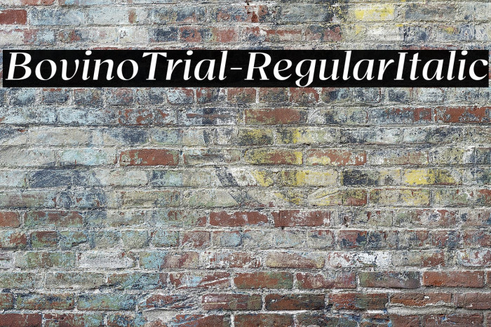 BovinoTrial-RegularItalic Example 2