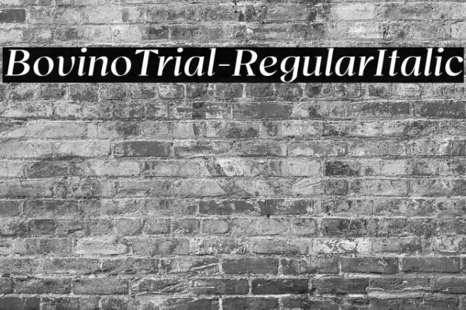 BovinoTrial-RegularItalic Font examples