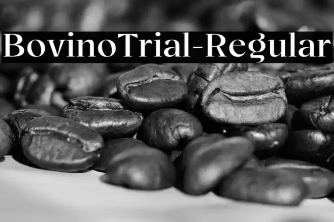 BovinoTrial-Regular Font examples