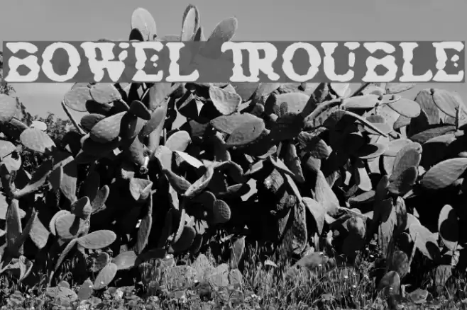 Bowel Trouble Font examples