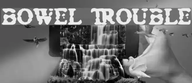 Bowel Trouble Font examples