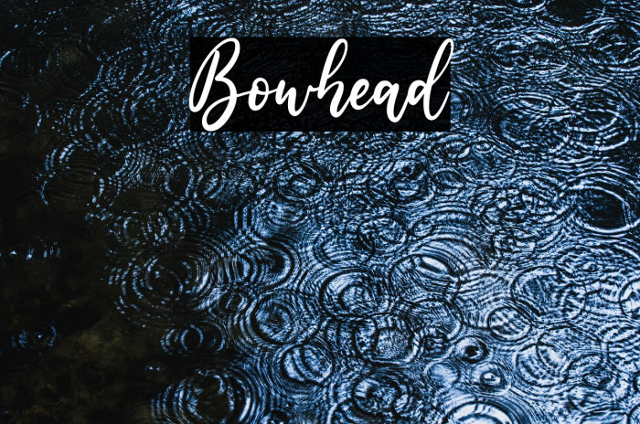 Bowhead Example 1