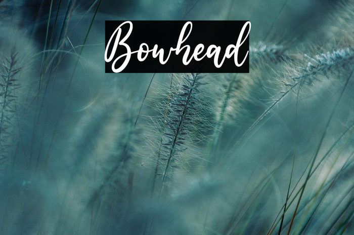 Bowhead Example 3