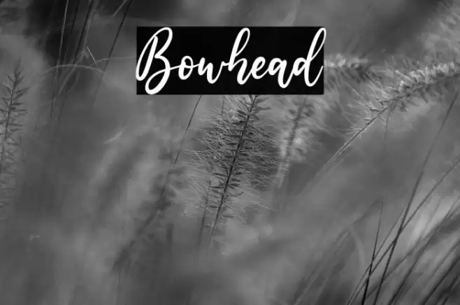 Bowhead Font examples