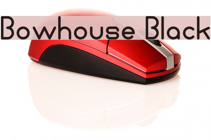 Bowhouse Black Font examples